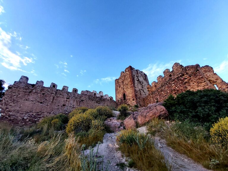 Read more about the article Serra tanca el castell davant l’afluència massiva de visitants