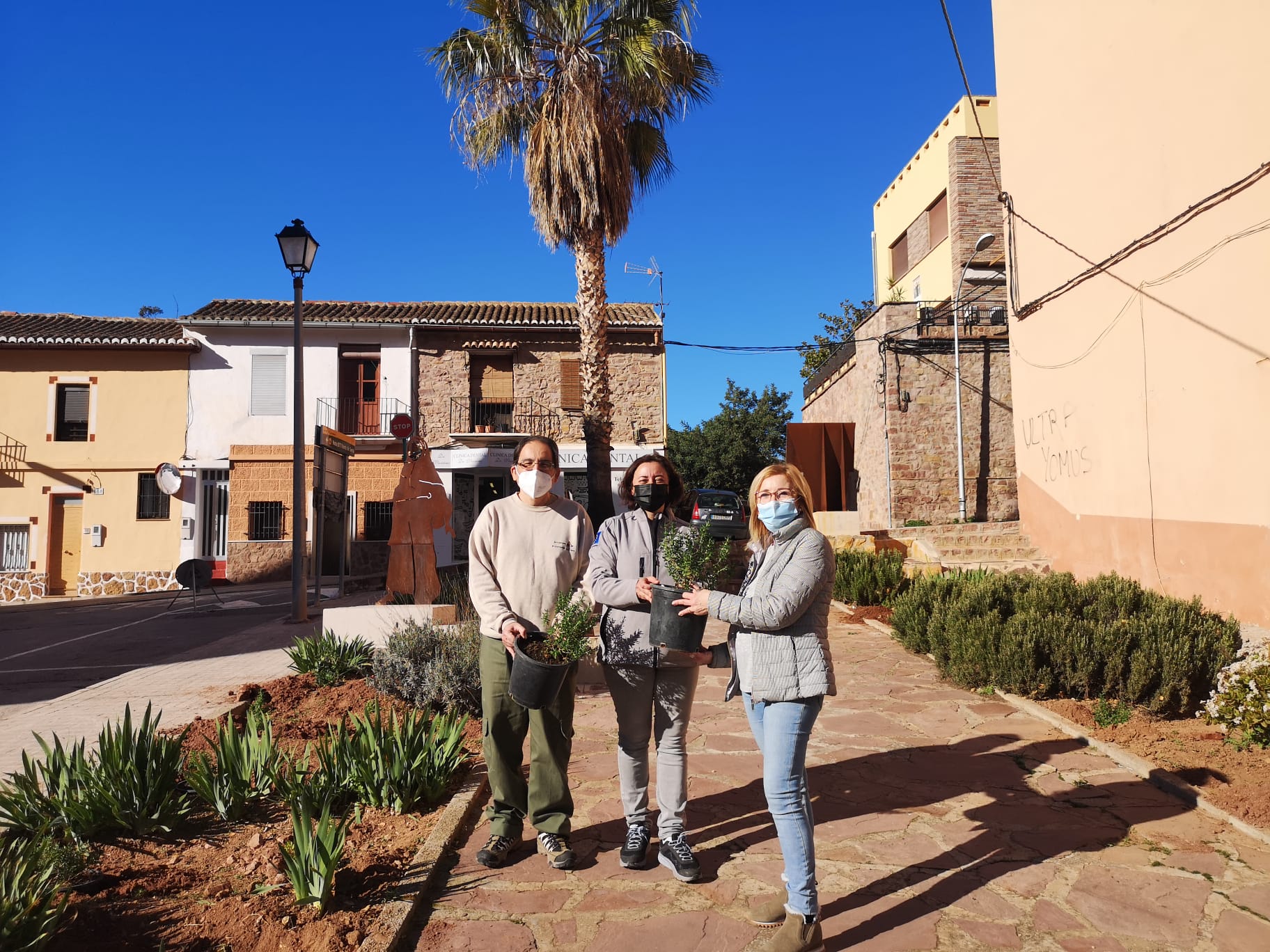 Lee más sobre el artículo Empieza la plantación de la estepa de Cartagena en Serra, un arbusto en peligro de extinción.