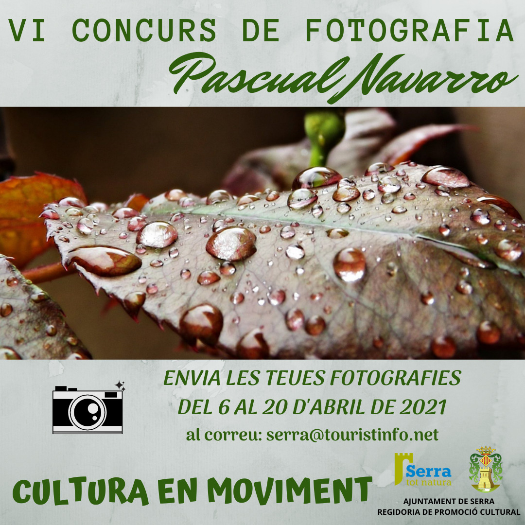 Lee más sobre el artículo Convocado el VI concurso de fotografía Pascual Navarro