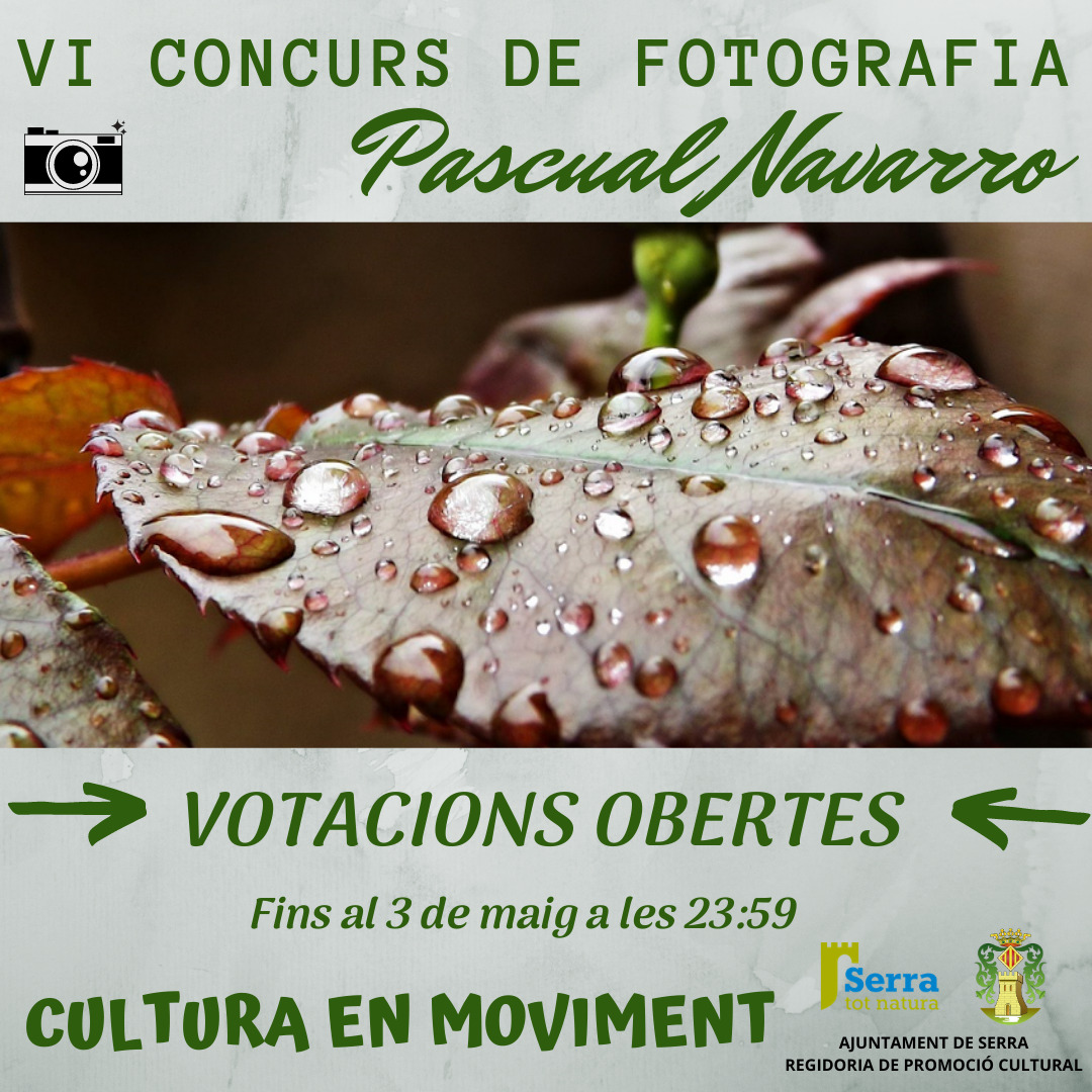 Read more about the article Votacions obertes concurs de fotografia Pascual Navarro