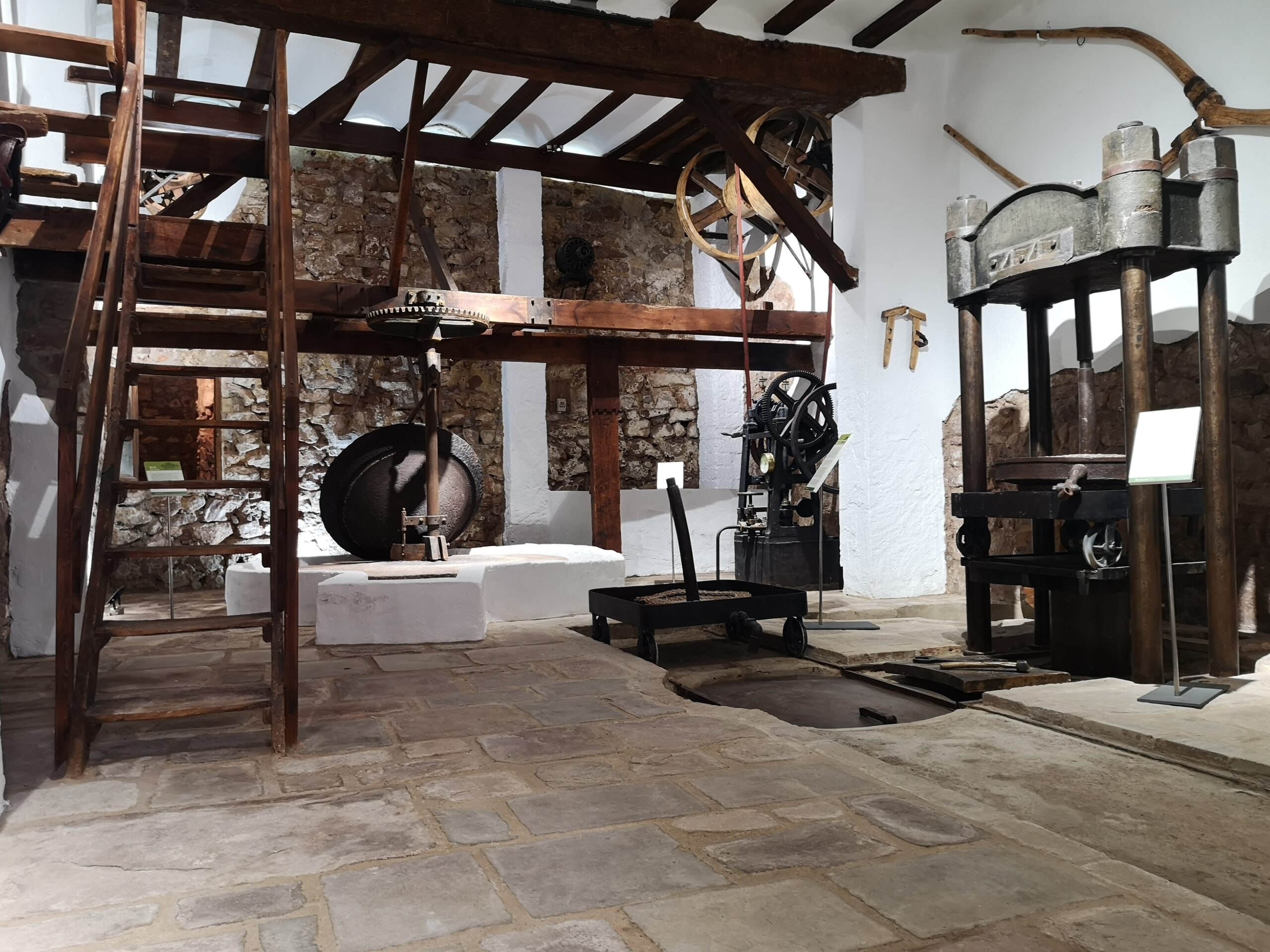 Lee más sobre el artículo Serra abre el Museu de l’Oli en la calle de la Pilota