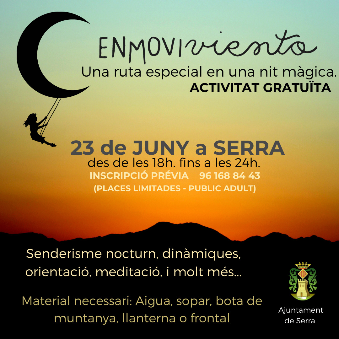 Read more about the article Ruta nocturna