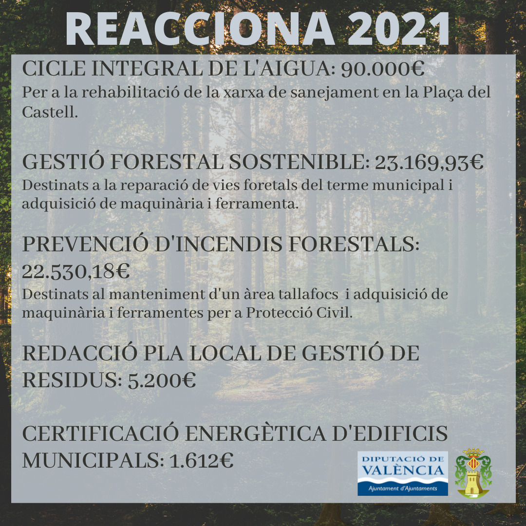 Lee más sobre el artículo 142.000 € para Serra del programa Reacciona de la Diputación
