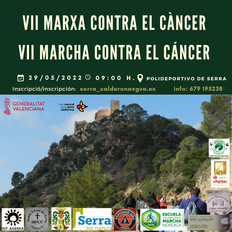 Read more about the article 7a marxa solidària
