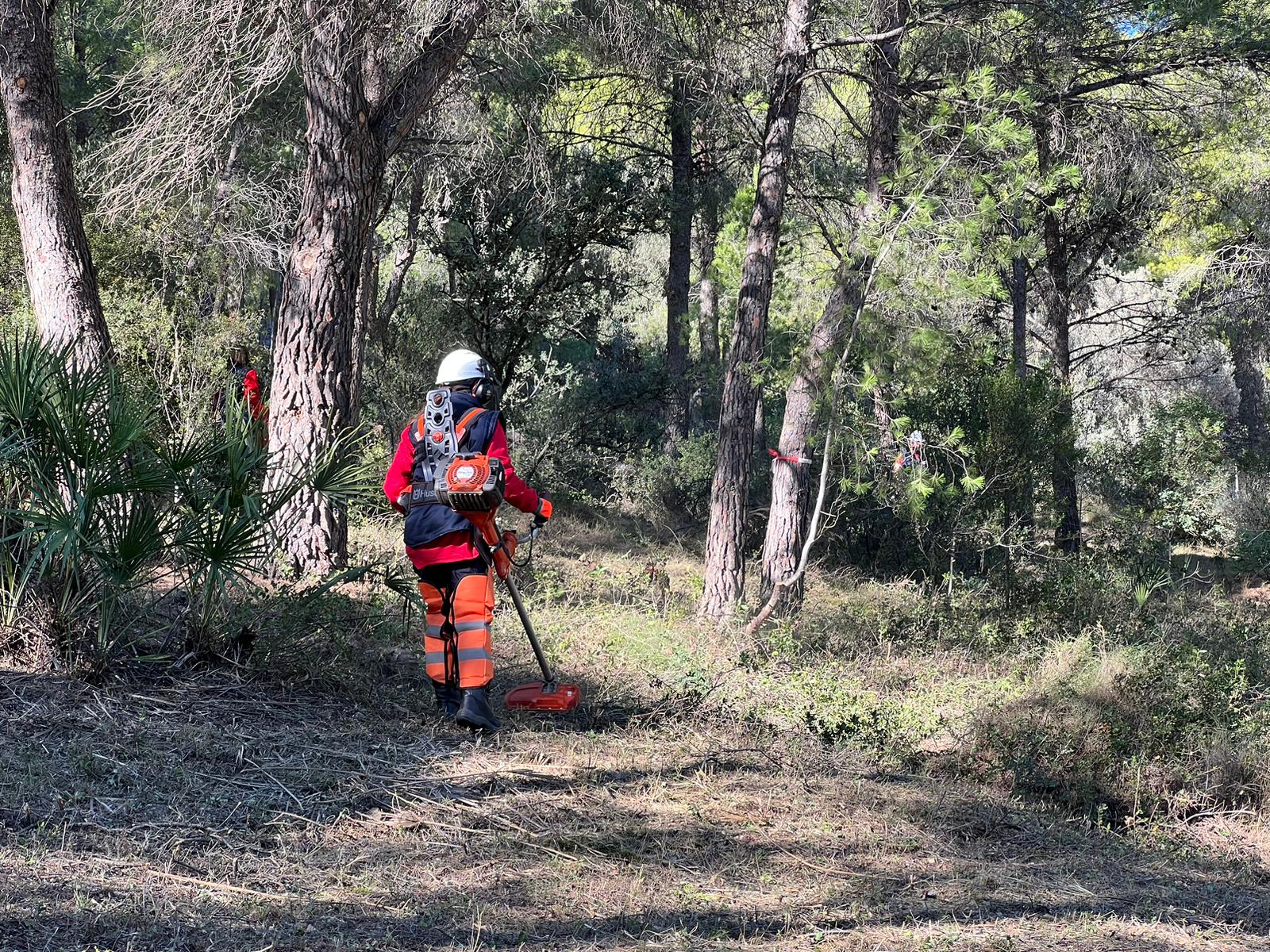 Read more about the article Serra compta amb una brigada Emerge per previndre riscos d’incendis