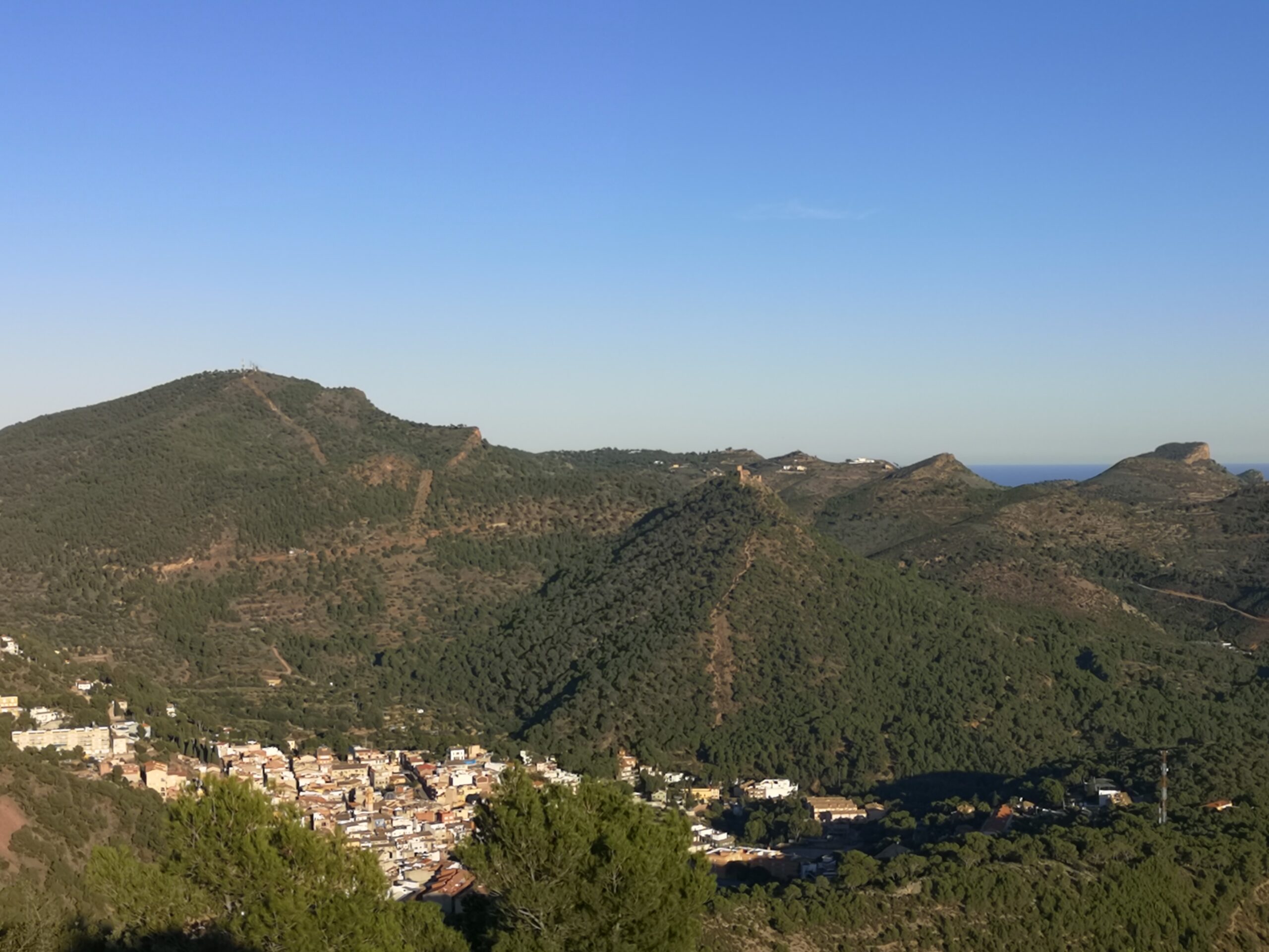 Read more about the article El pasturatge torna a Serra després de més de 20 anys