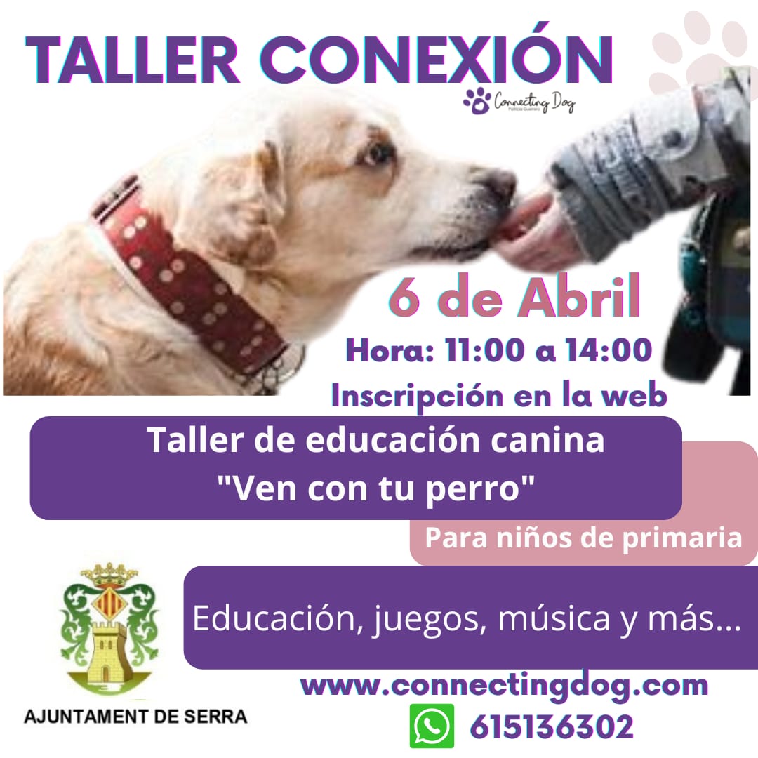 Read more about the article taller d’educació canina