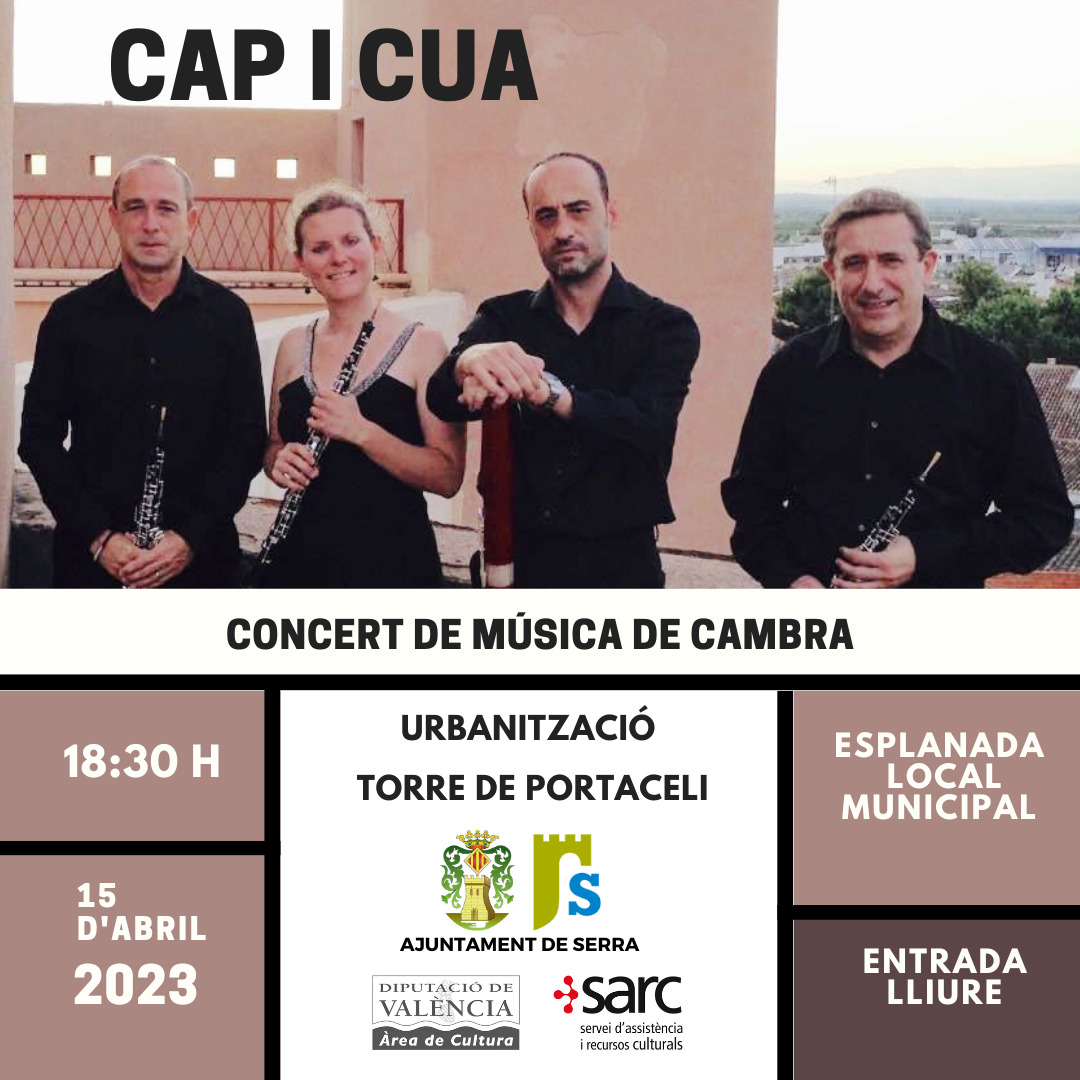 Read more about the article Concert música de cambra Cap i cua