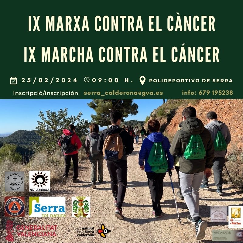 Lee más sobre el artículo 9ª marcha contra el cáncer