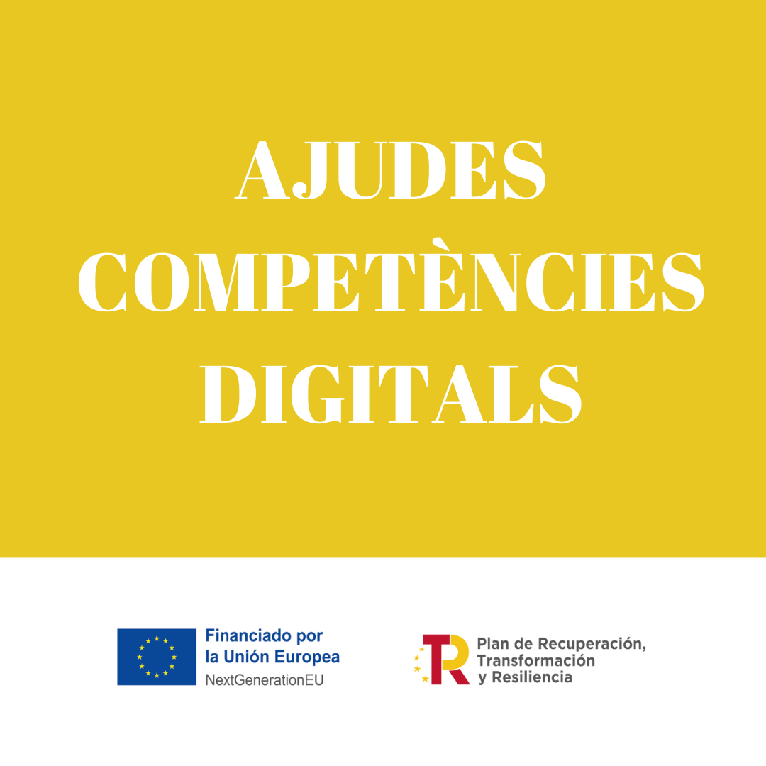 Read more about the article Ajudes en competències digitals