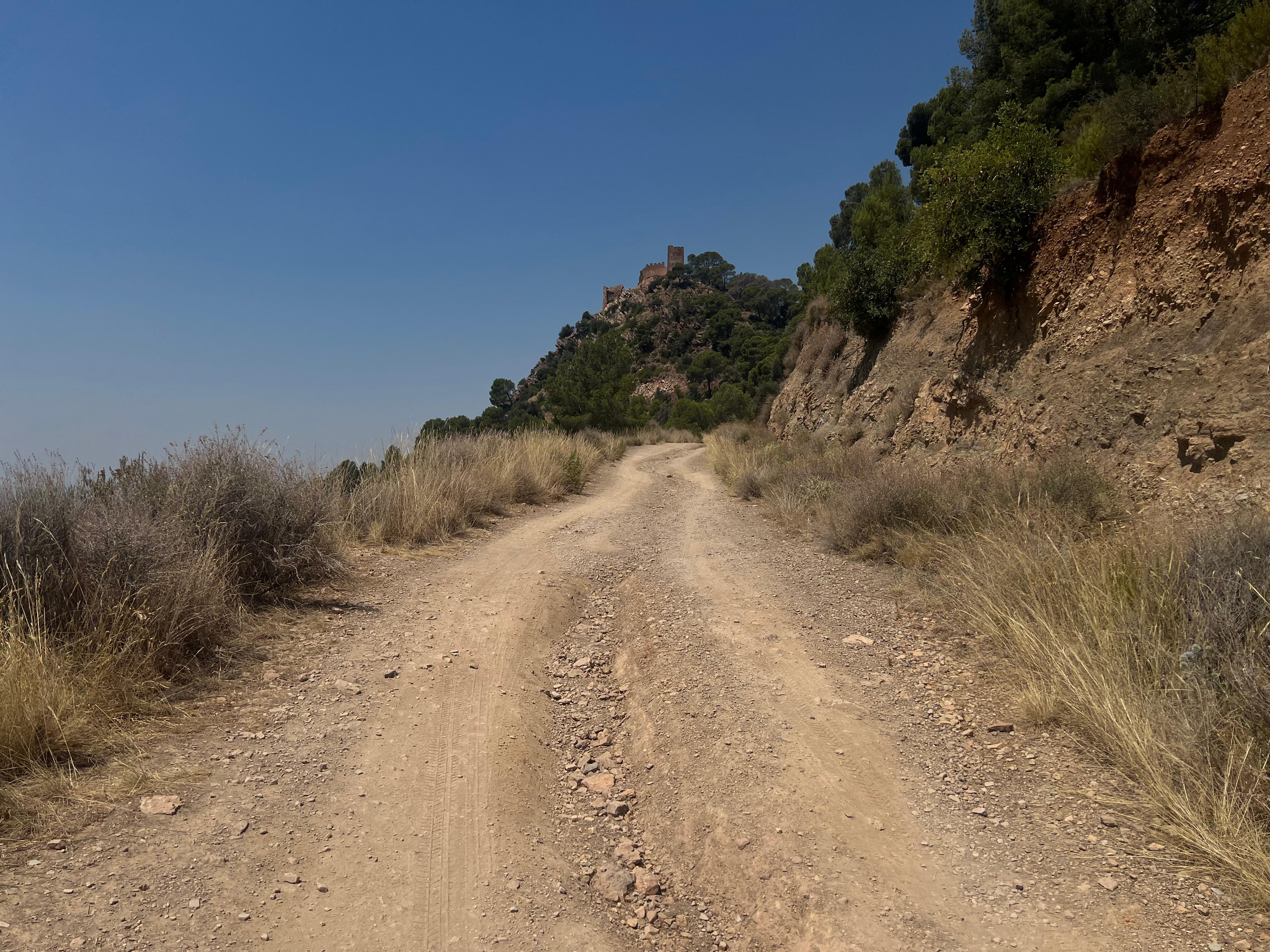 Lee más sobre el artículo El Ayuntamiento destina más de 42.000 € en la mejora de las pistas forestales para reforzar la prevención de incendios