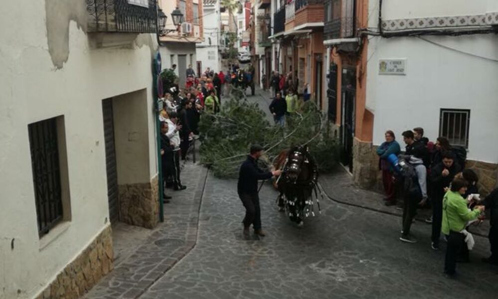 foto-bona-sant-antoni-2