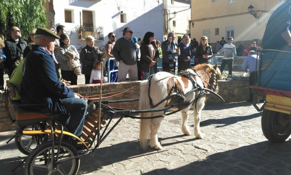 sant-antoni-bona